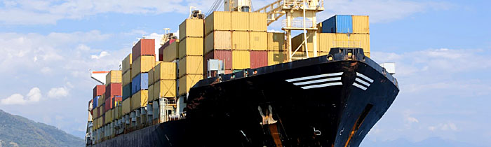 Shipping Services 